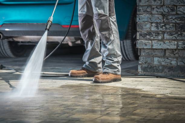 Best Driveway Pressure Washing  in Oakland, IA