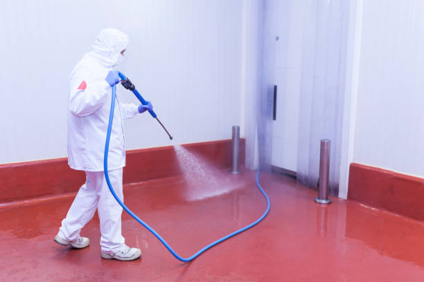 Best Rust Removal  in Oakland, IA