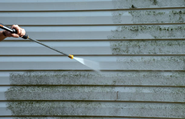 Best Patio and Deck Pressure Washing  in Oakland, IA